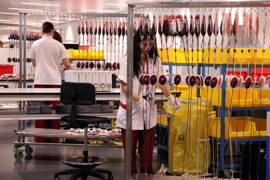 Medical professionals at work at the Catalan Banc de Sang i Teixits blood bank (by Nazaret Romero)